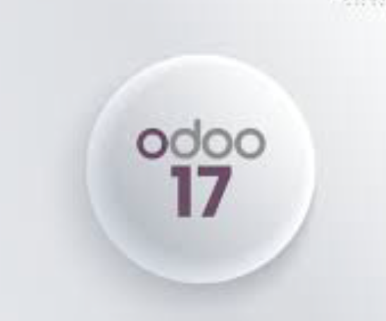 Odoo 17 Instance Hosting (Year)