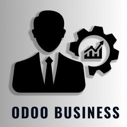 Odoo Unternehmensberatung (Stunden)